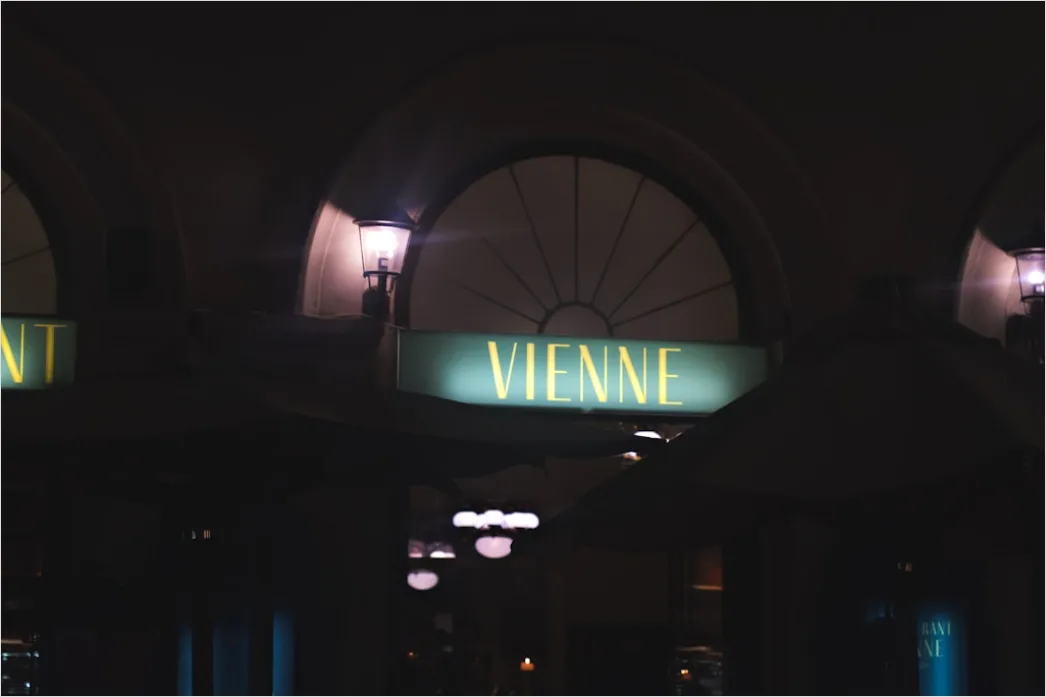 Detail Vienna Historic Cafe Interior Scene Number 4