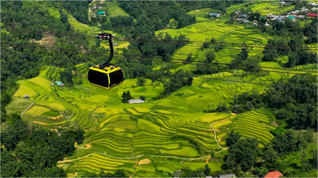 Detail Vietnam Rice Fields Aerial View Number 11