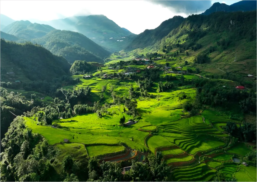 Detail Vietnam Rice Fields Aerial View Number 4