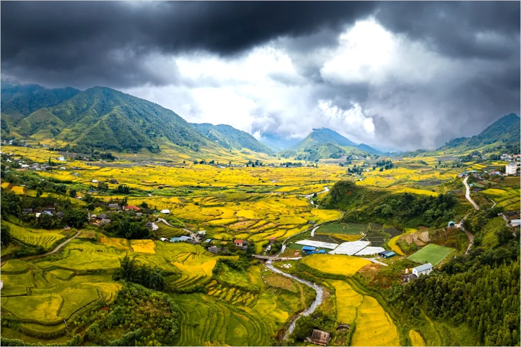 Detail Vietnam Rice Fields Aerial View Number 8