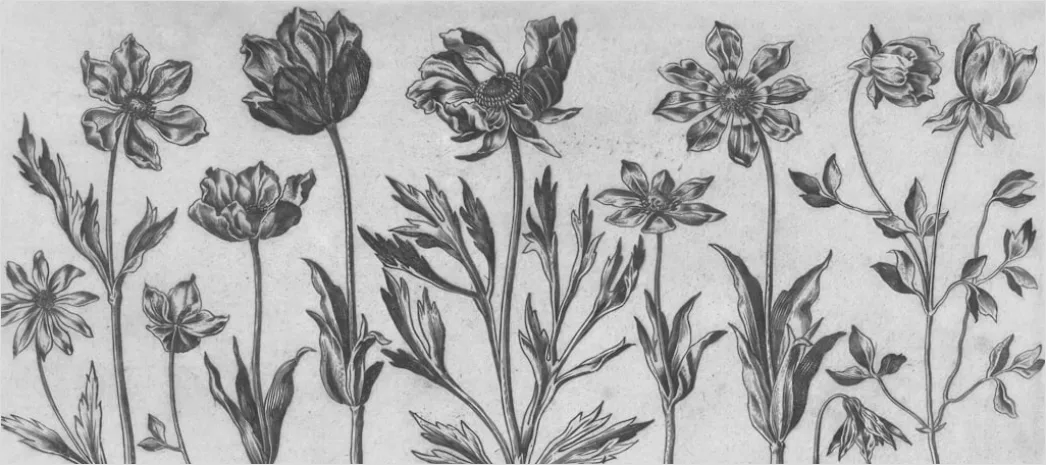 Detail Vintage Botanical Illustration Set Number 12