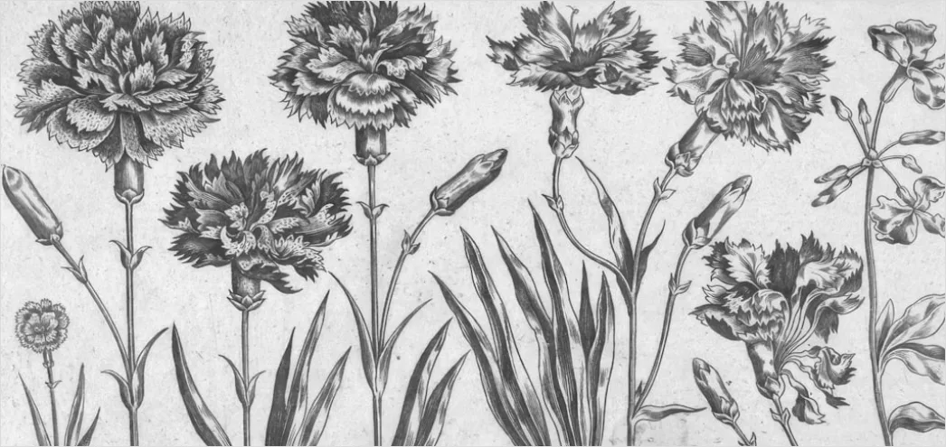 Detail Vintage Botanical Illustration Set Number 17