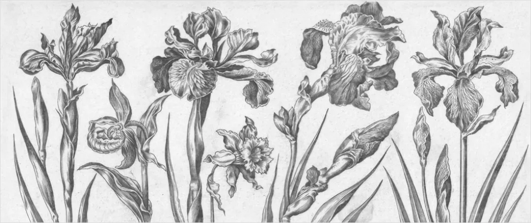Detail Vintage Botanical Illustration Set Number 19