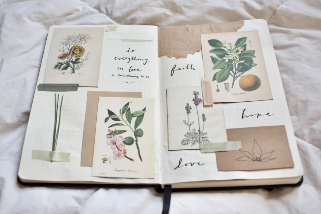 Detail Vintage Botanical Illustration Set Number 5