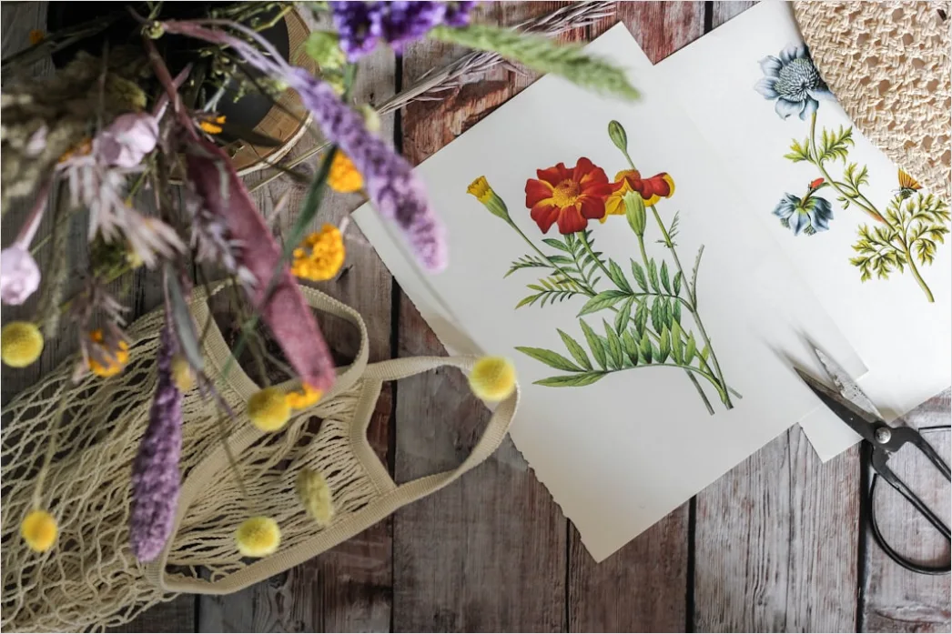 Detail Vintage Botanical Illustration Set Number 7