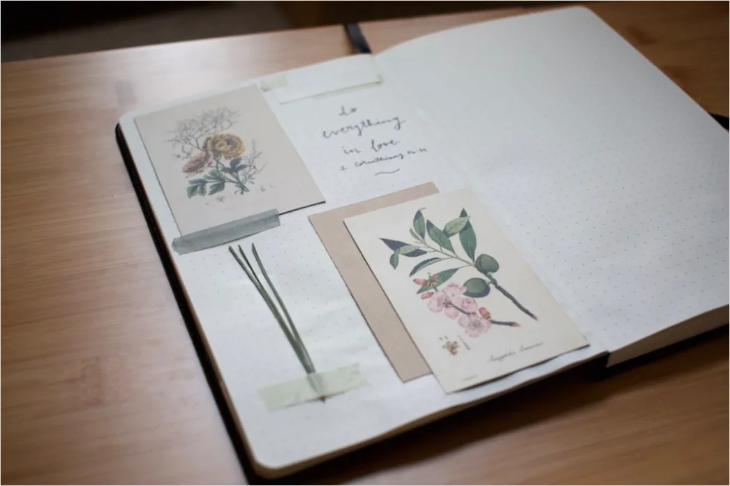 Detail Vintage Botanical Illustration Set Number 8
