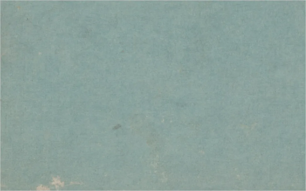 Detail Vintage Grunge Paper Texture Number 12
