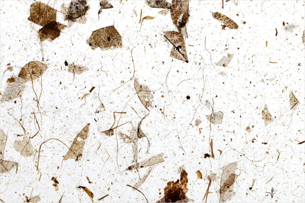 Detail Vintage Grunge Paper Texture Number 19