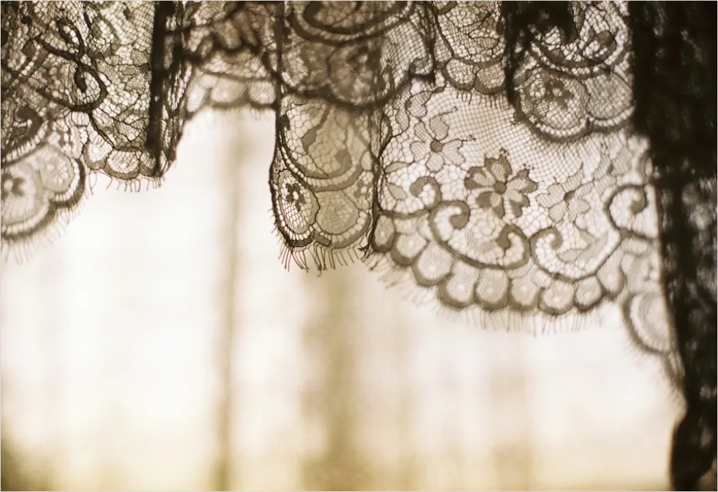 Detail Vintage Lace Pattern Background Number 16