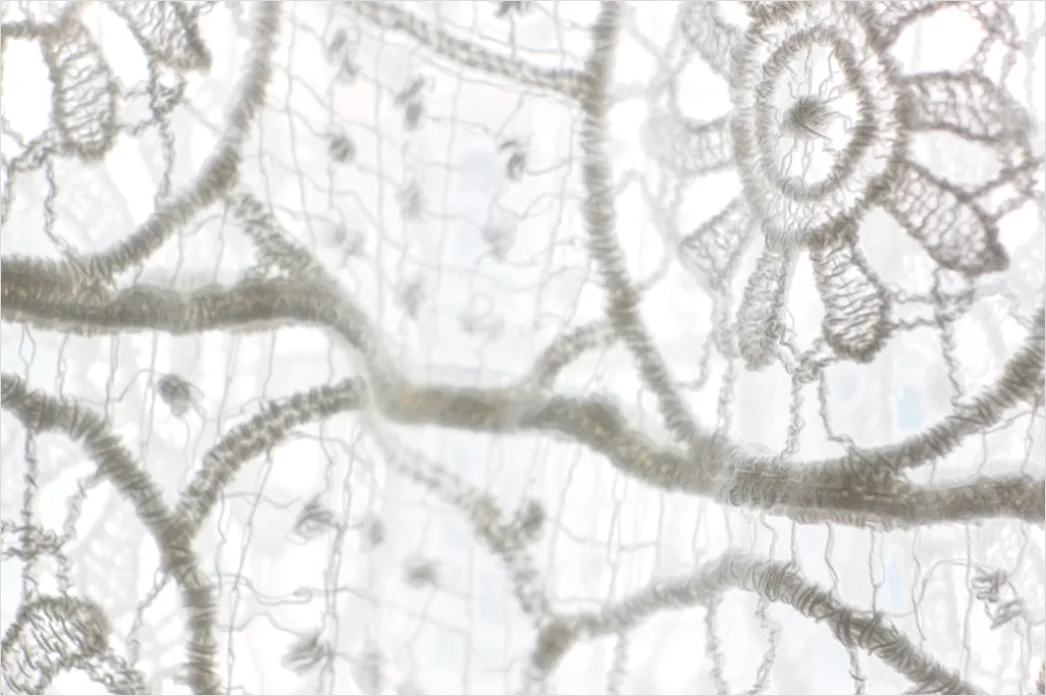 Detail Vintage Lace Pattern Background Number 5