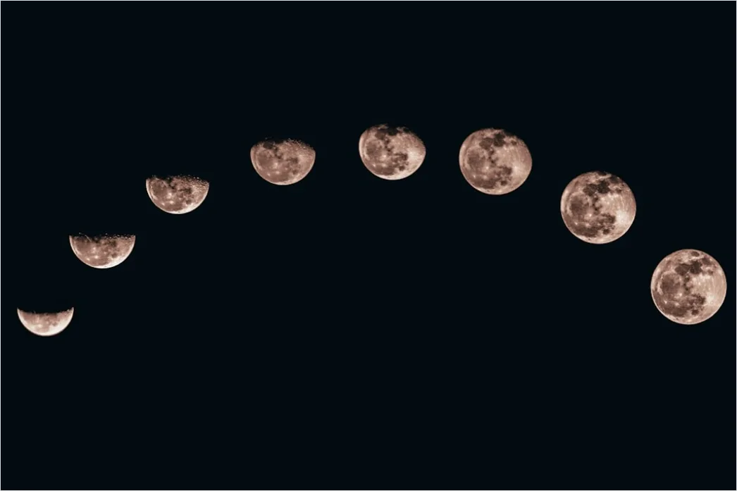 Detail Vintage Moon Phases Illustration Number 2