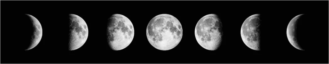 Detail Vintage Moon Phases Illustration Number 11