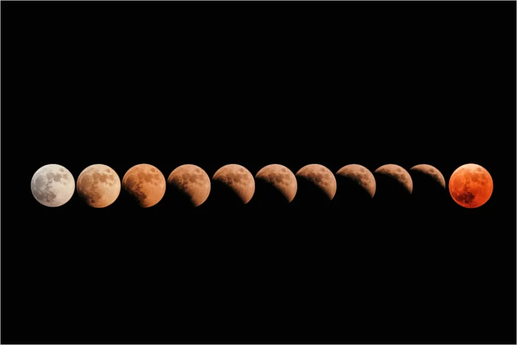 Detail Vintage Moon Phases Illustration Number 14