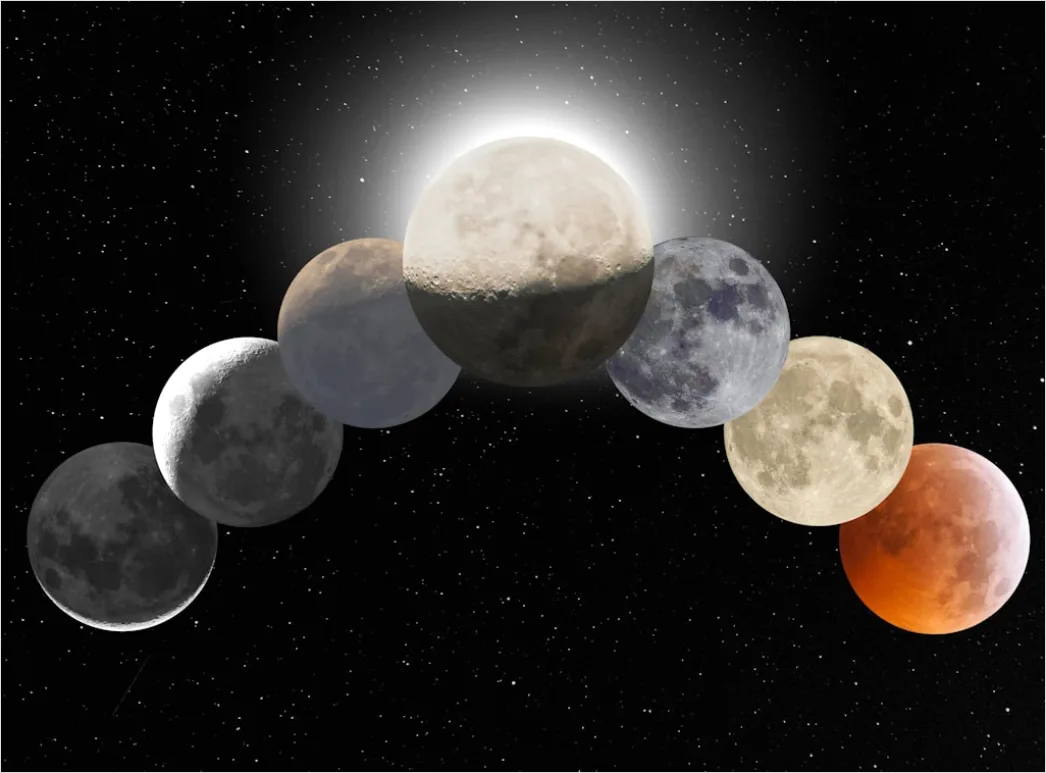 Detail Vintage Moon Phases Illustration Number 15
