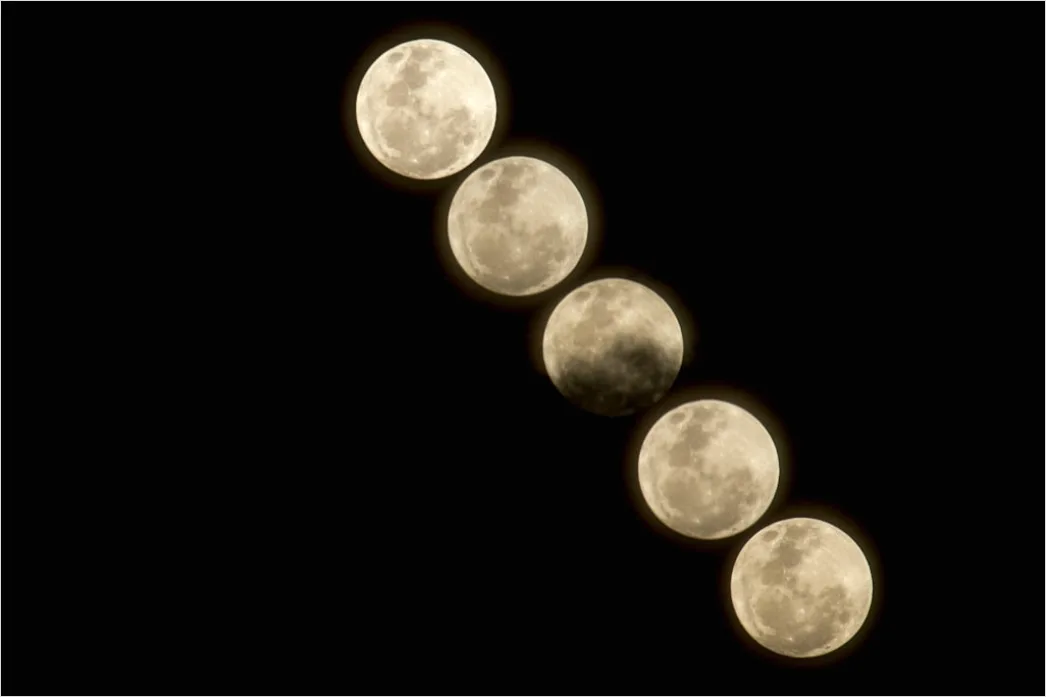 Detail Vintage Moon Phases Illustration Number 17