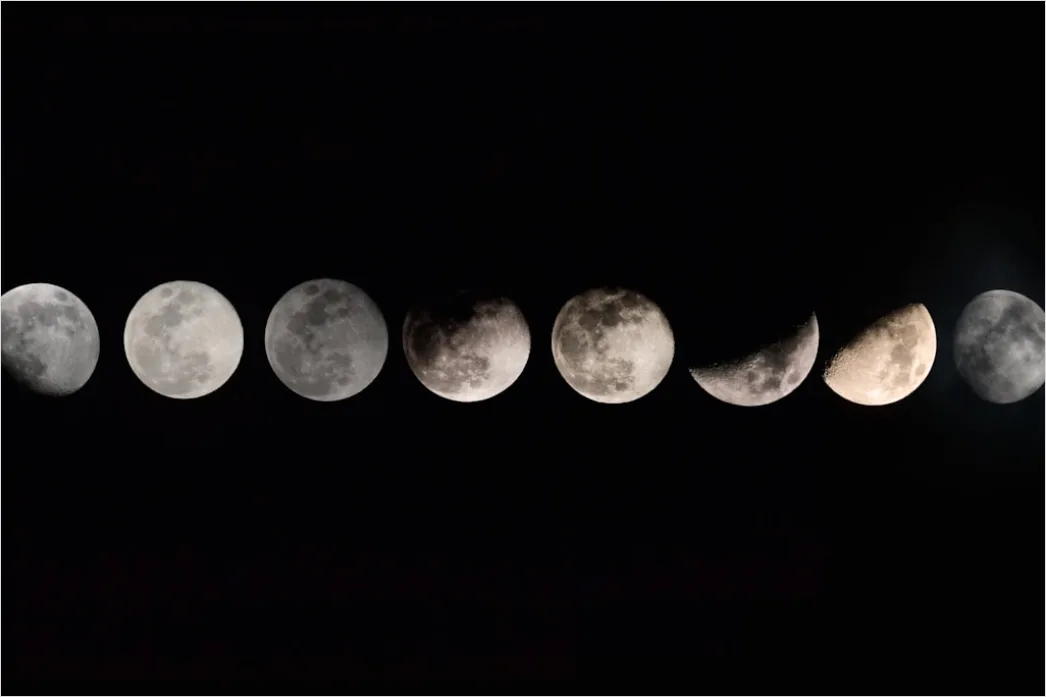 Detail Vintage Moon Phases Illustration Number 19