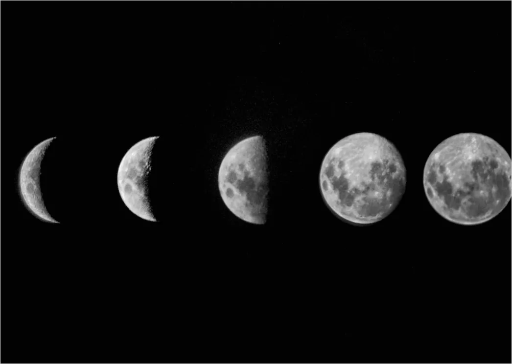 Detail Vintage Moon Phases Illustration Number 3