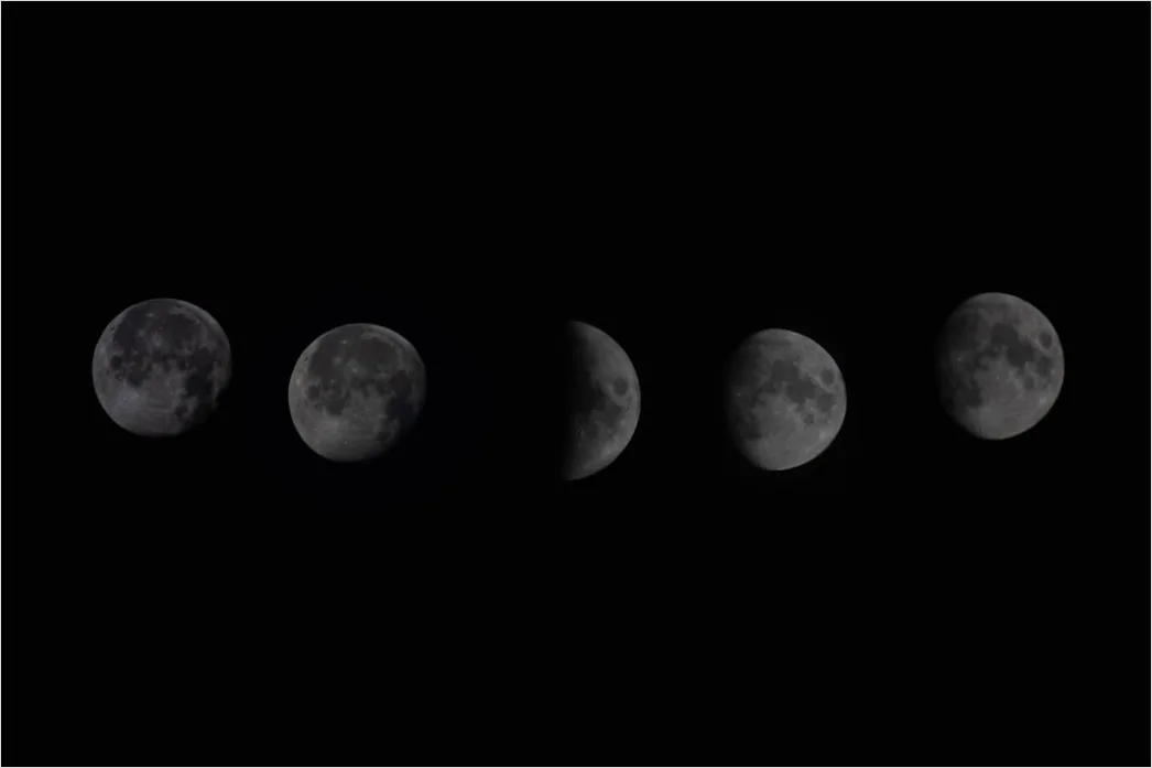 Detail Vintage Moon Phases Illustration Number 6