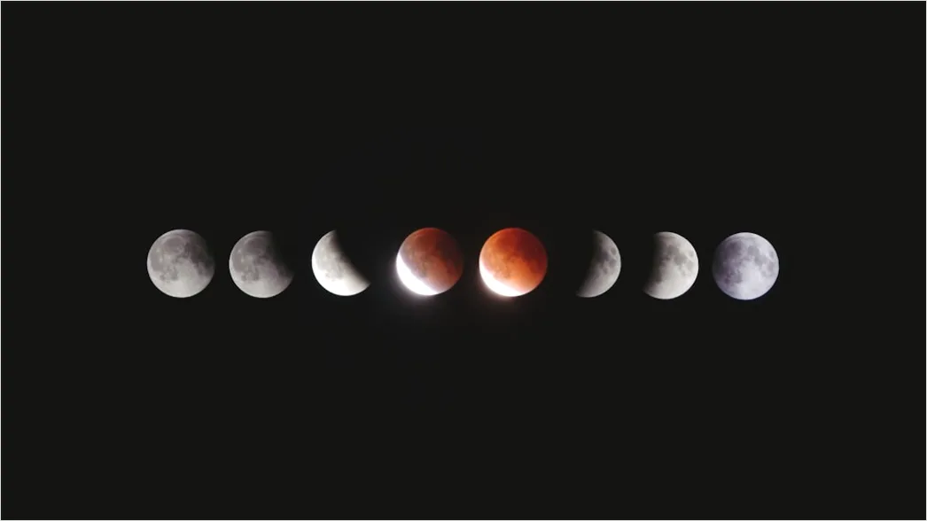 Detail Vintage Moon Phases Illustration Number 8