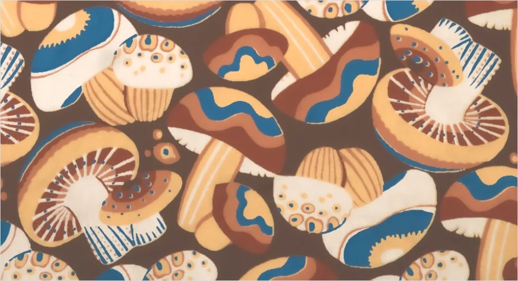 Detail Vintage Mushroom Illustration Set Number 13