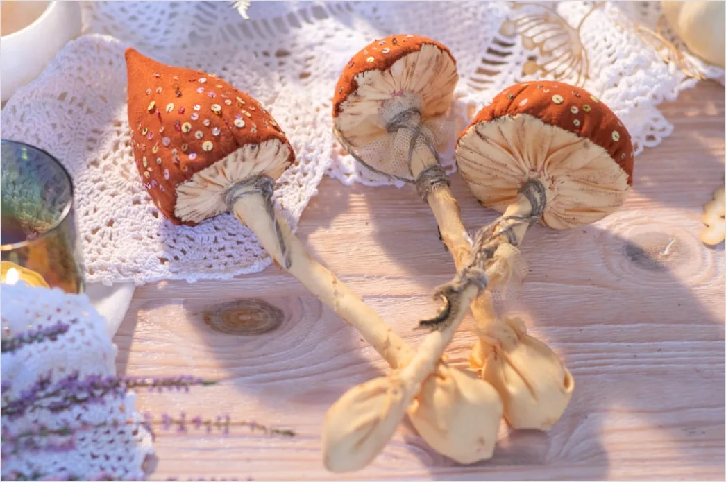 Detail Vintage Mushroom Illustration Set Number 14