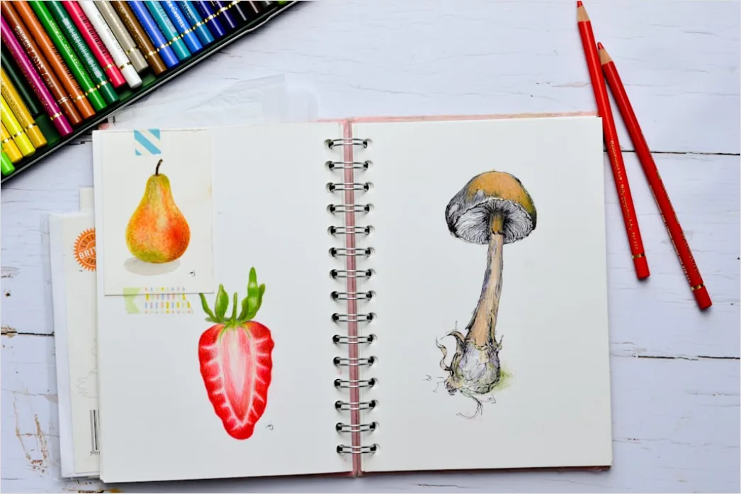 Detail Vintage Mushroom Illustration Set Number 17
