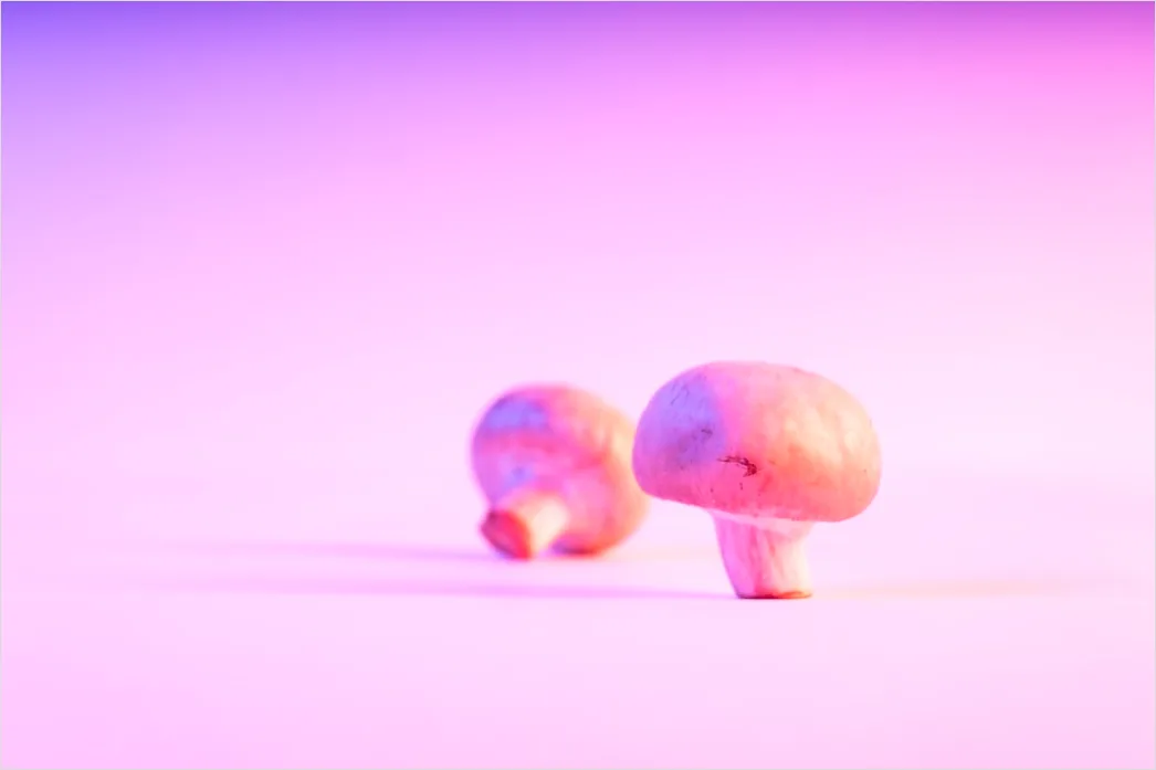 Detail Vintage Mushroom Illustration Set Number 20