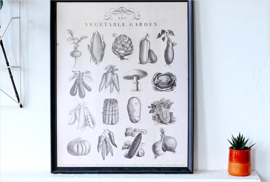 Detail Vintage Mushroom Illustration Set Number 7