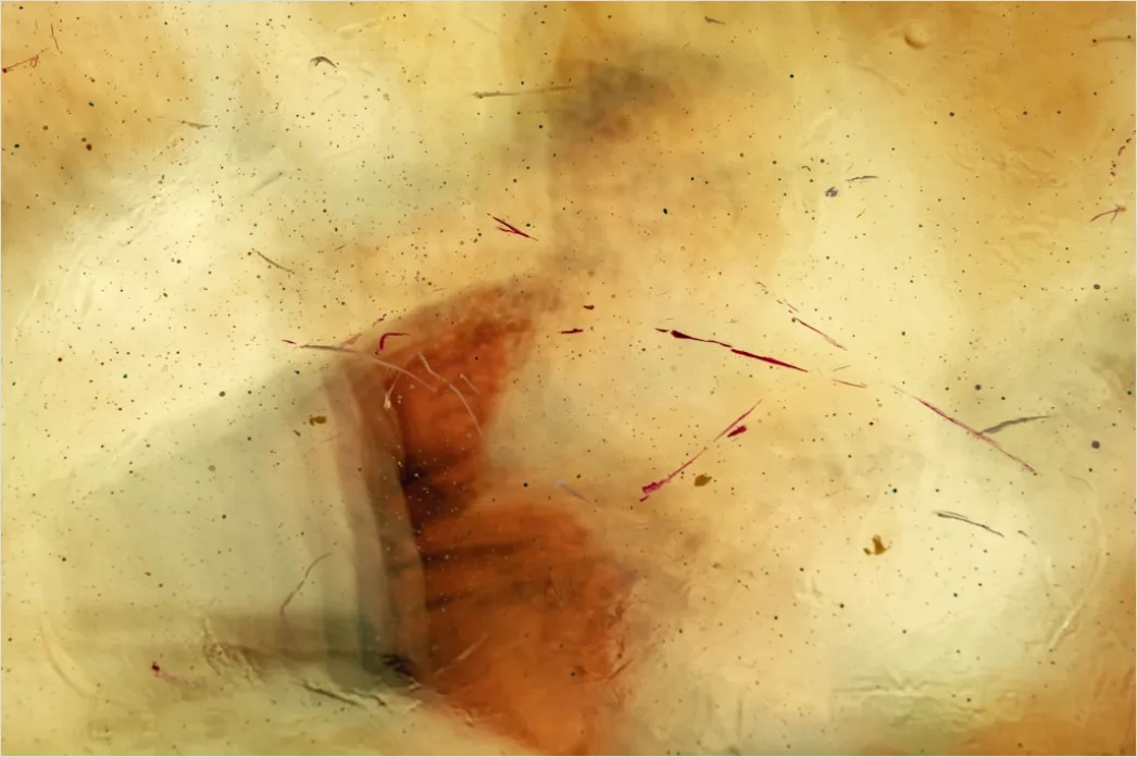 Detail Vintage Parchment Paper Background Number 14