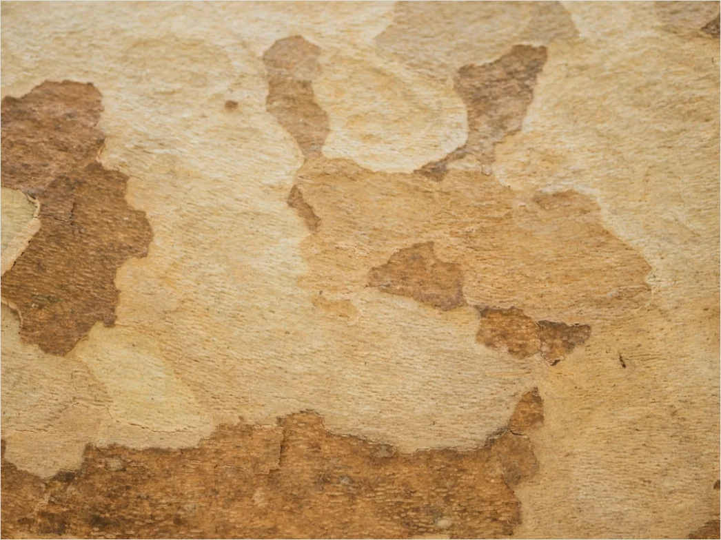 Detail Vintage Parchment Paper Background Number 20