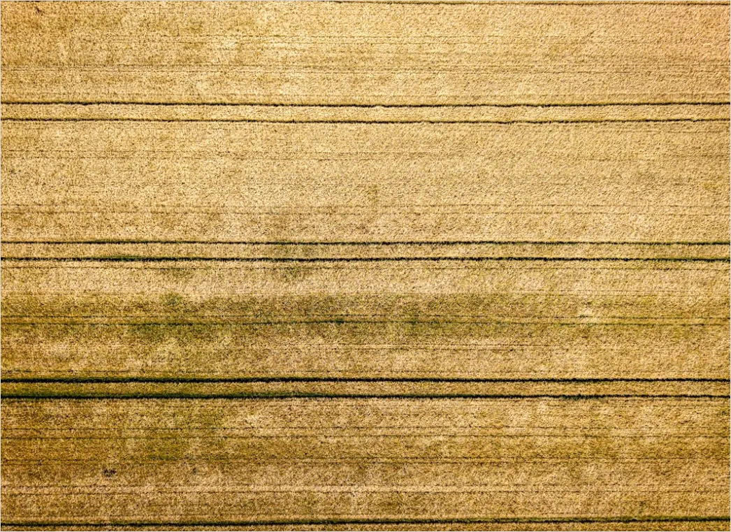 Detail Vintage Scrapbook Paper Background Number 16