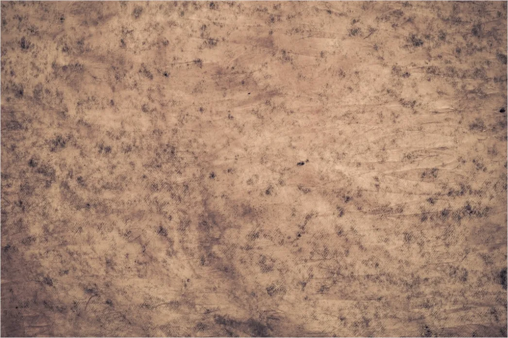 Detail Vintage Sepia Tone Background Number 11