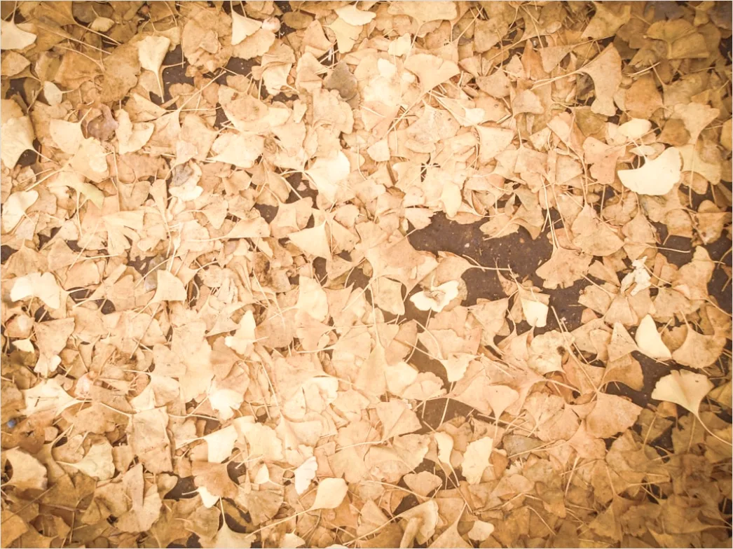 Detail Vintage Sepia Tone Background Number 15