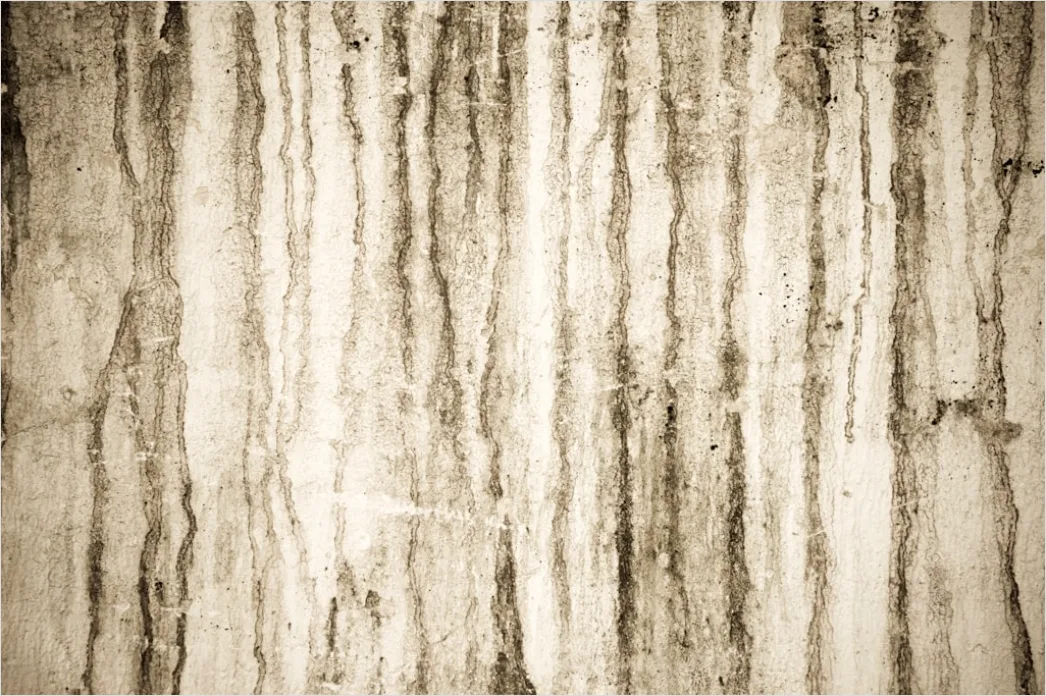 Detail Vintage Sepia Tone Background Number 4