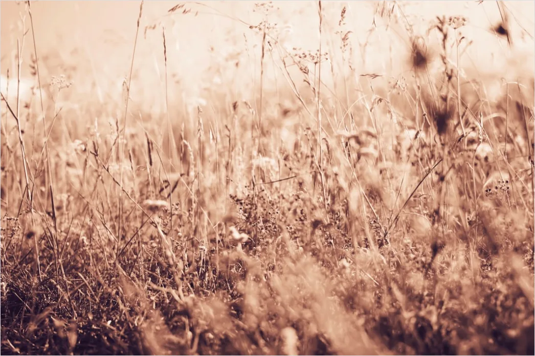Detail Vintage Sepia Tone Background Number 8