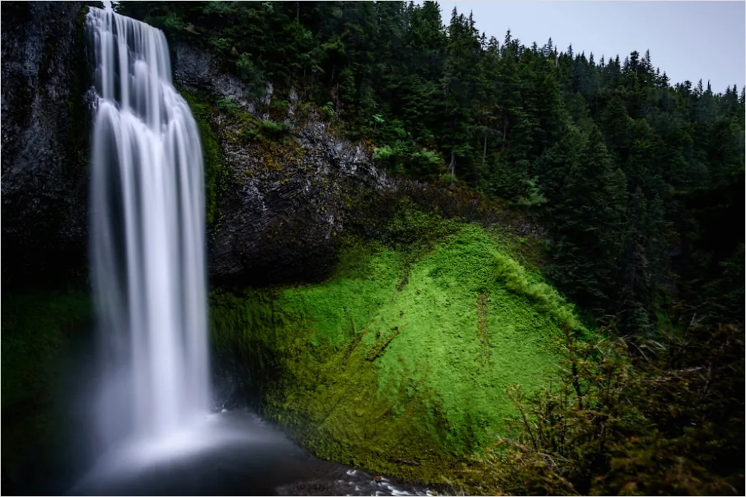 Detail Waterfall Long Exposure Forest Scene Number 12