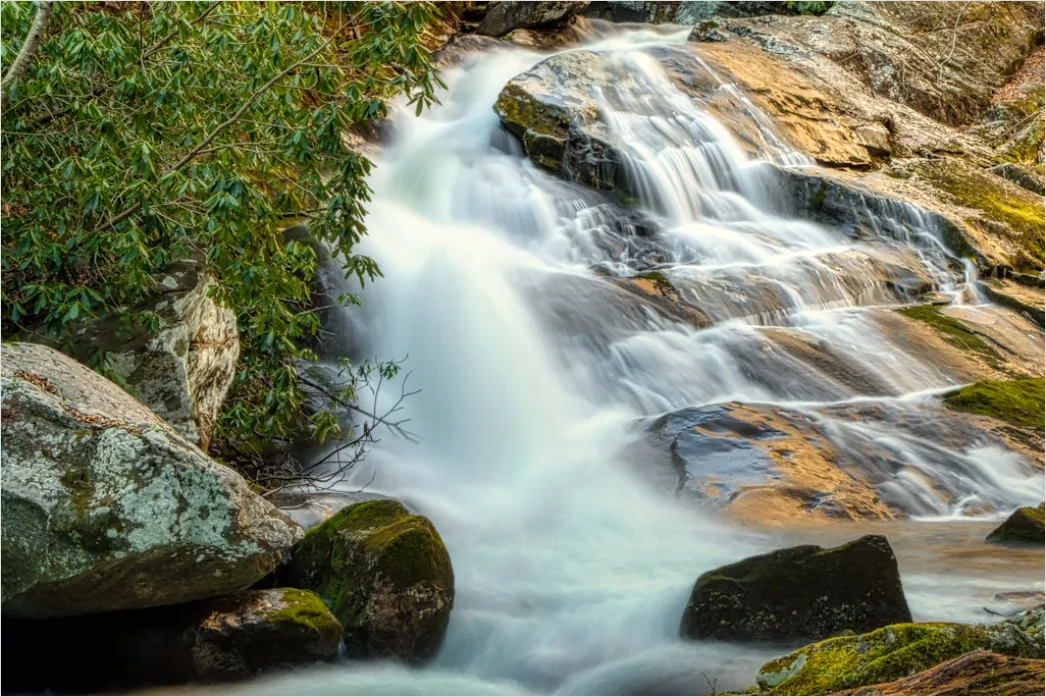 Detail Waterfall Long Exposure Forest Scene Number 13