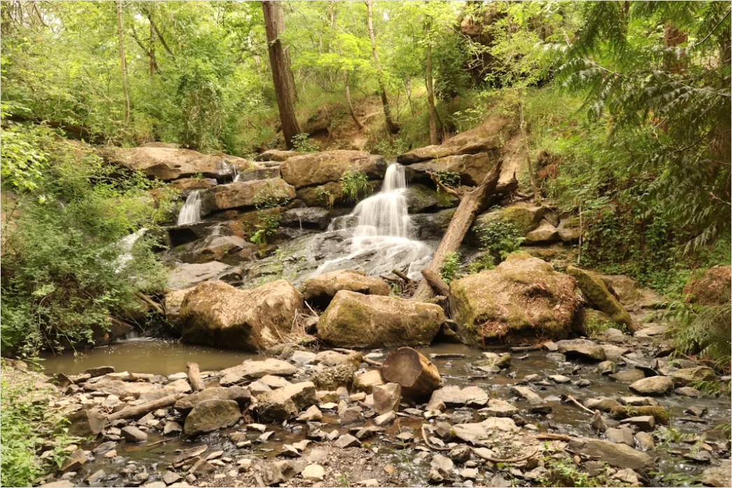 Detail Waterfall Long Exposure Forest Scene Number 14