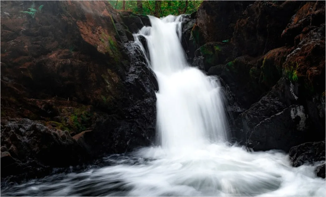 Detail Waterfall Long Exposure Forest Scene Number 15