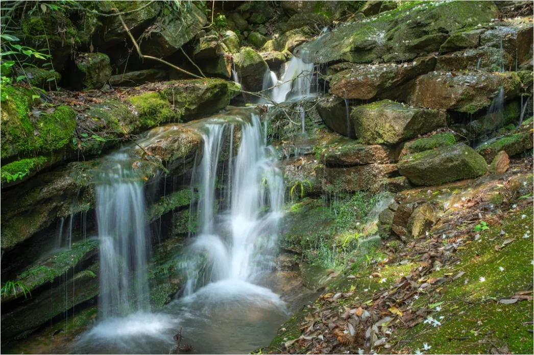 Detail Waterfall Long Exposure Forest Scene Number 16