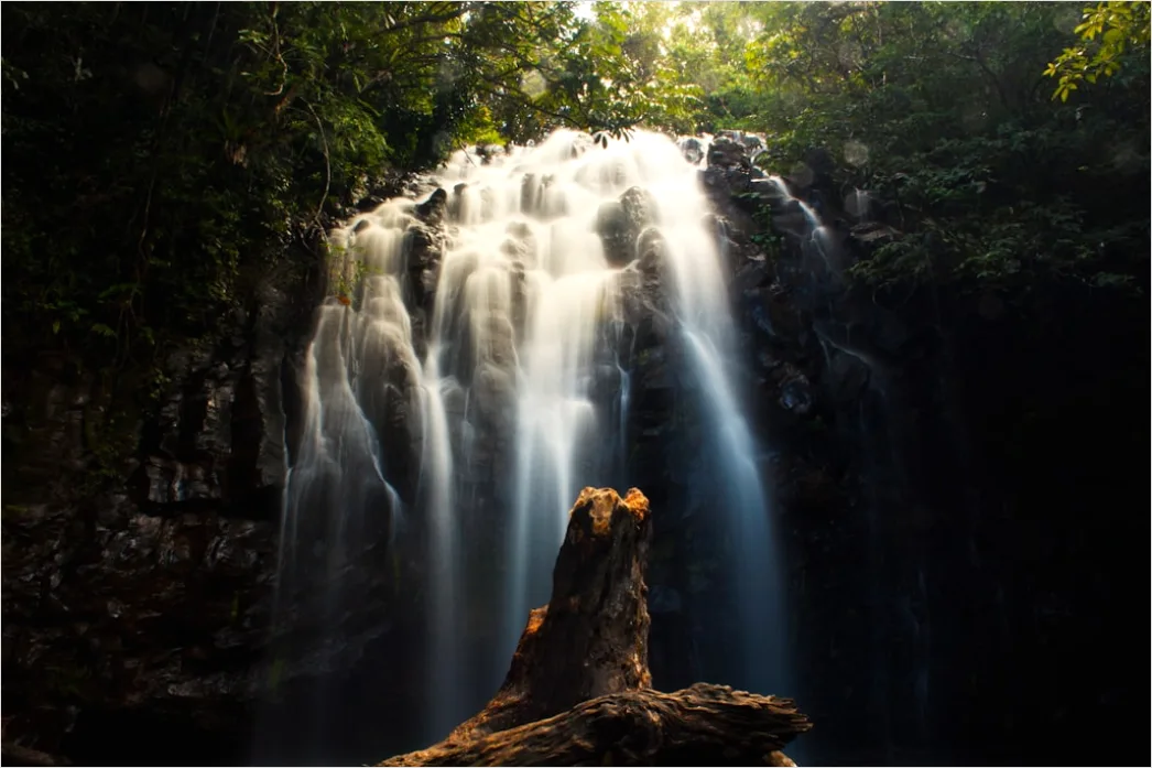 Detail Waterfall Long Exposure Forest Scene Number 4