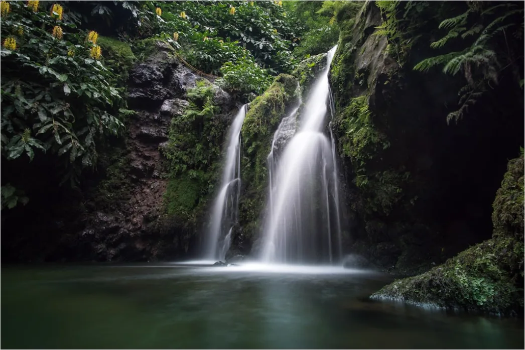 Detail Waterfall Long Exposure Forest Scene Number 5