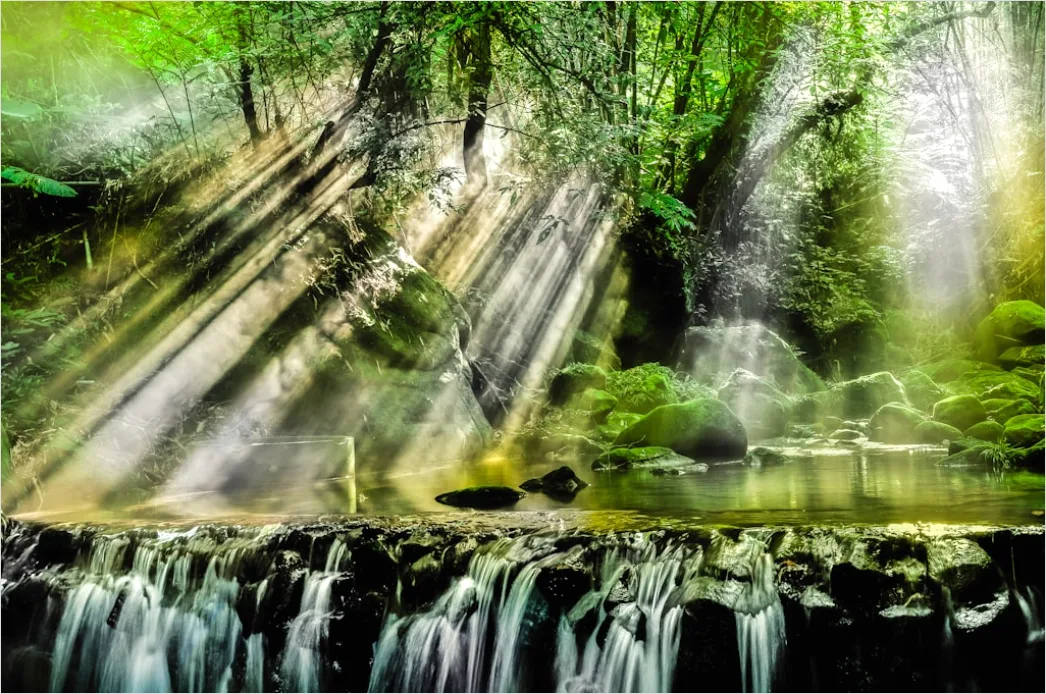 Detail Waterfall Long Exposure Forest Scene Number 7