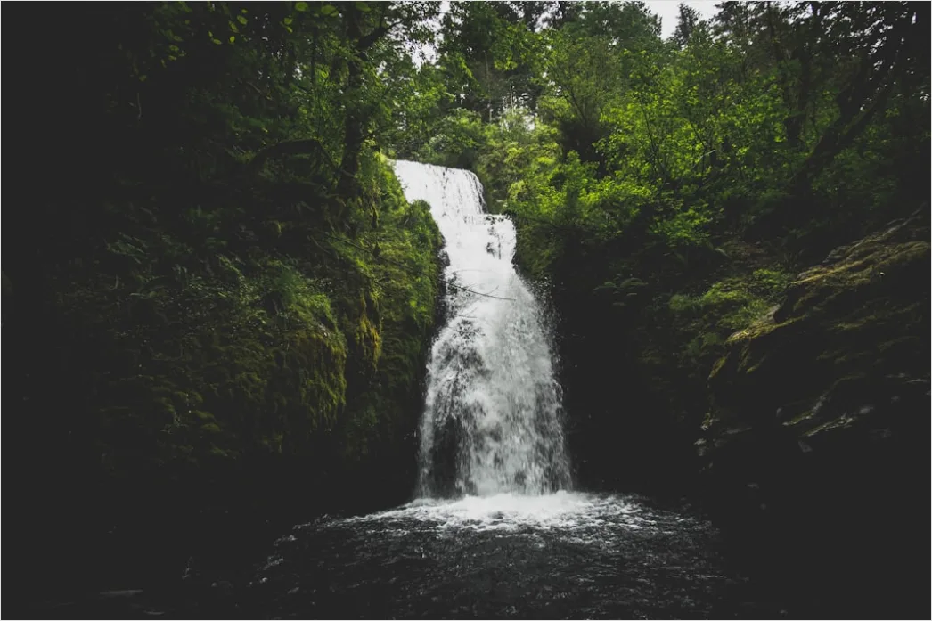 Detail Waterfall Long Exposure Forest Scene Number 8