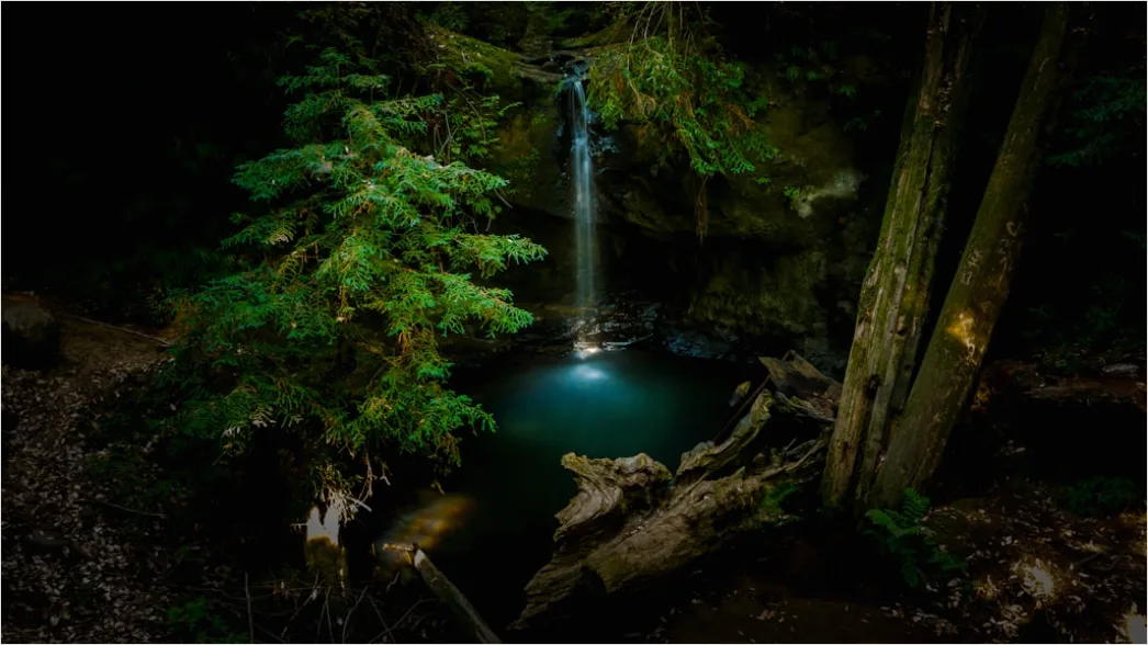 Detail Waterfall Long Exposure Forest Scene Number 10