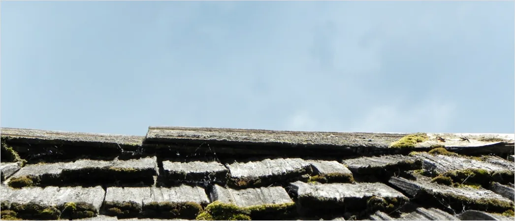 Detail Wind Damage Roof Shingles Missing Number 13
