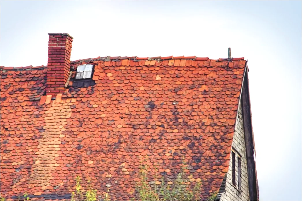 Detail Wind Damage Roof Shingles Missing Number 16