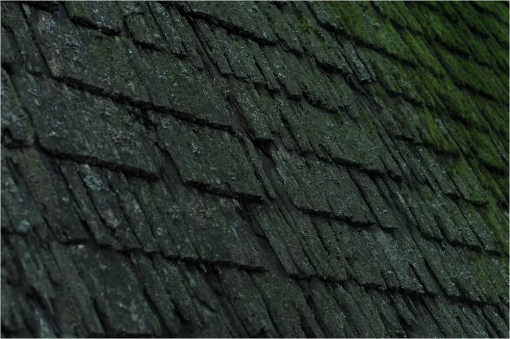 Detail Wind Damage Roof Shingles Missing Number 18