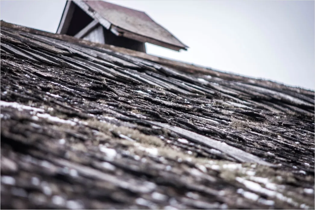 Detail Wind Damage Roof Shingles Missing Number 19