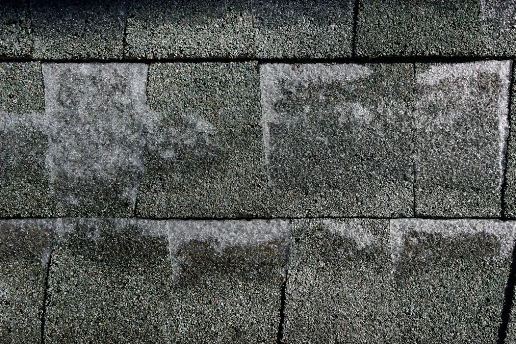 Detail Wind Damage Roof Shingles Missing Number 20